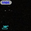 VVDS 220146181