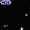 VVDS 220146754