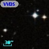 VVDS 220146821