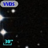 VVDS 220146933