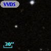 VVDS 220147385