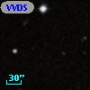 VVDS 220147810