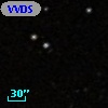 VVDS 220151750