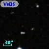 VVDS 220152348