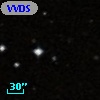 VVDS 220153352