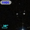VVDS 220153692