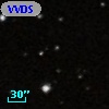 VVDS 220153817