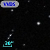 VVDS 220154389