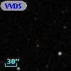 VVDS 220155551