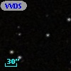 VVDS 220155772