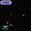 VVDS 220155836