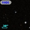 VVDS 220156528