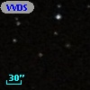 VVDS 220157821