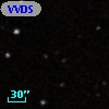 VVDS 220159983