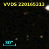 VVDS 220165313
