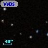 VVDS 220165444