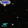 VVDS 220165570