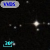 VVDS 220165993