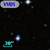 VVDS 220166170