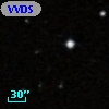 VVDS 220166709