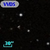 VVDS 220166772