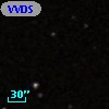 VVDS 220167135