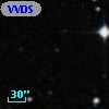 VVDS 220181900