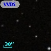 VVDS 220183031