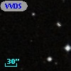 VVDS 220183135