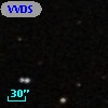 VVDS 220183394