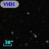 VVDS 220183533