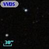 VVDS 220183879