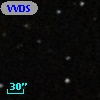 VVDS 220184696