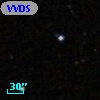 VVDS 220184866