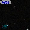VVDS 220185279