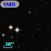 VVDS 220186654