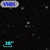 VVDS 220186882