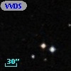 VVDS 220187492