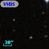VVDS 220187503