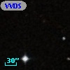 VVDS 220193899