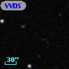 VVDS 220193920