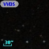 VVDS 220194204