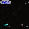 VVDS 220194448
