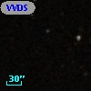 VVDS 220196599
