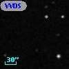 VVDS 220196683