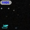 VVDS 220196774