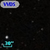 VVDS 220197185