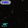 VVDS 220197279