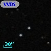 VVDS 220197893