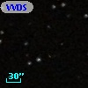VVDS 220197913